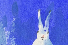 Hare (pakkelapp)