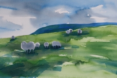 Sau i Brekkom  (33 x 54 cm)