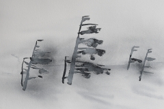 Furu i vind (38 x 53 cm)