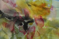 Valmuer (20 x 30 cm) 3.500 kr m/ramme